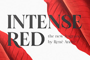 Florian -Swashy Serif Type, a Serif Font by Fenotype (Thumbnail 3 of 10)