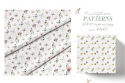 Spring Meadow Wildflower Collection, an Illustration by Kim Thoa Designs (Thumbnail 6 of 9)