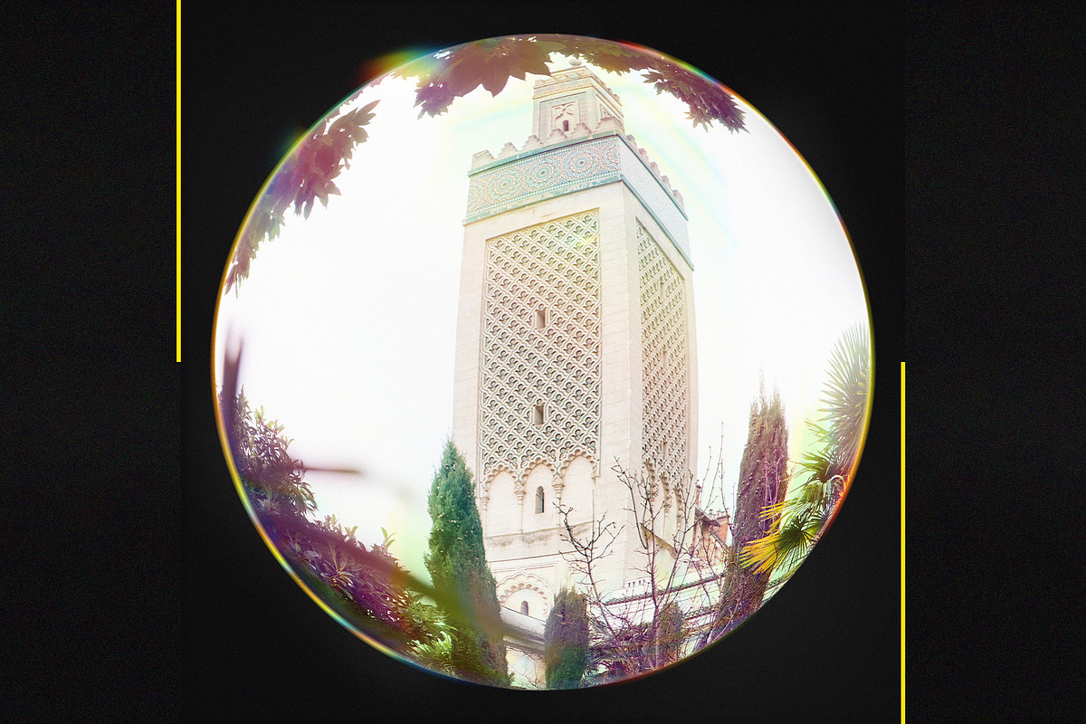 Fisheye Lens Photo Effect, a Texture Graphic by Freezerondigital (Photo 6 of 13)