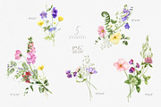 Wildflower watercolor floral clipart, a Decorative Illustration by ReachDreams (Thumbnail 2 of 10)