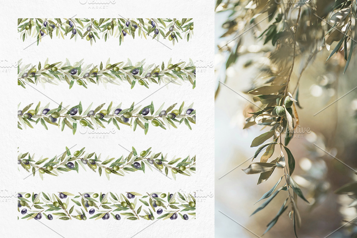 Olive Watercolor Illustrations, a Food Illustration by Fedulova Art (Photo 13 of 14)