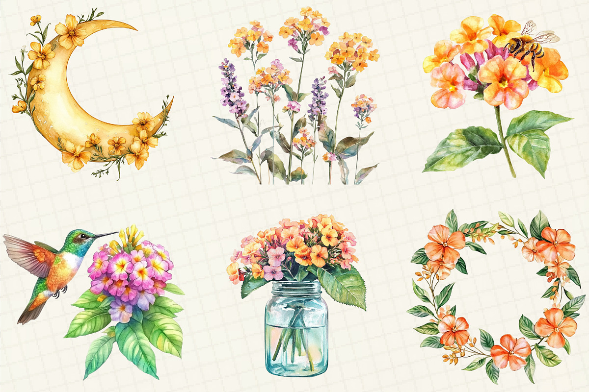 Watercolor Lantana Flower Clipart, an Illustration by OK Design (Photo 4 of 5)