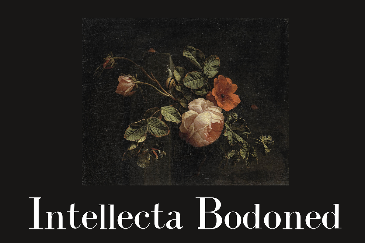 Intellecta Bodoned, a Serif Font by Intellecta Design (Photo 1 of 5)