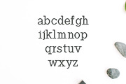 Haytham Slab Serif Fonts Packs, a Slab Serif Font by Creativetacos (Thumbnail 3 of 5)