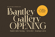Bagina Elegant Serif Font, a Serif Font by Perfectype (Thumbnail 6 of 8)