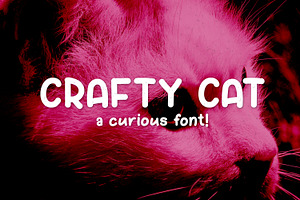 Crafty Cat