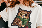 Cozy Winter Owl PNG, an Object Illustration by DreamCafeArt (Thumbnail 3 of 6)