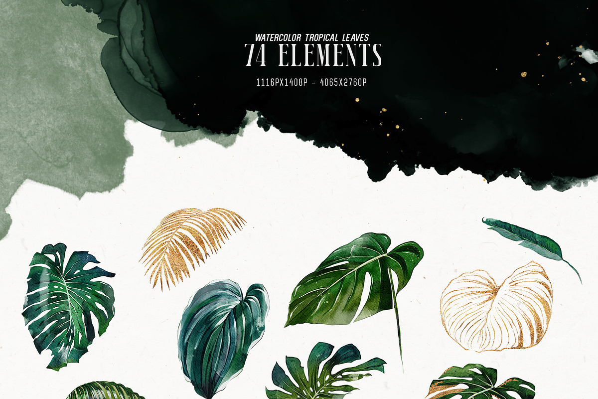 Watercolor Tropical Leaves, a Decorative Illustration by Damian Roh (Photo 4 of 19)