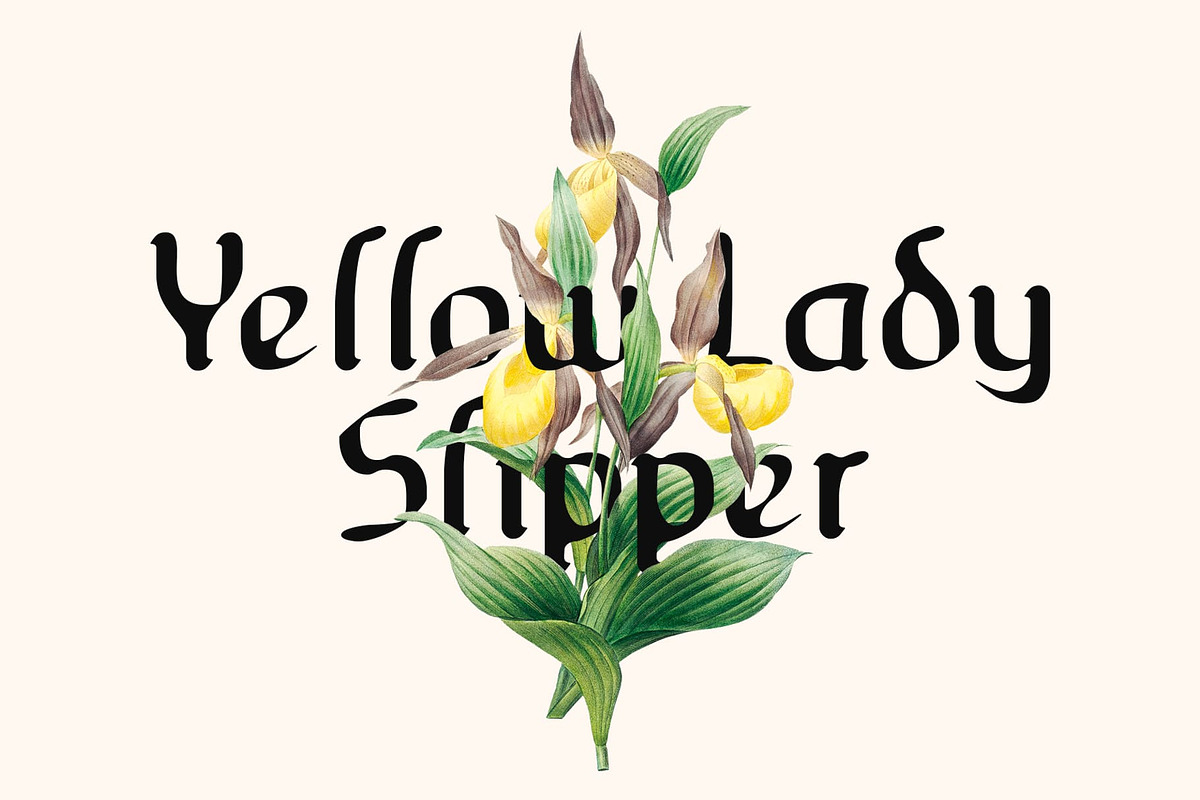 CS Blacked Drawn, a Blackletter Font by Craft Supply Co. (Photo 4 of 8)