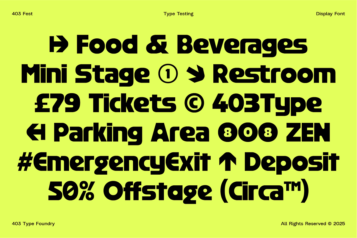 403 FEST, a Sans Serif Font by 403 Type Foundry (Photo 15 of 16)