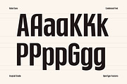 Kebal Sans - Condensed Font, a Sans Serif Font by Graptail (Thumbnail 11 of 19)