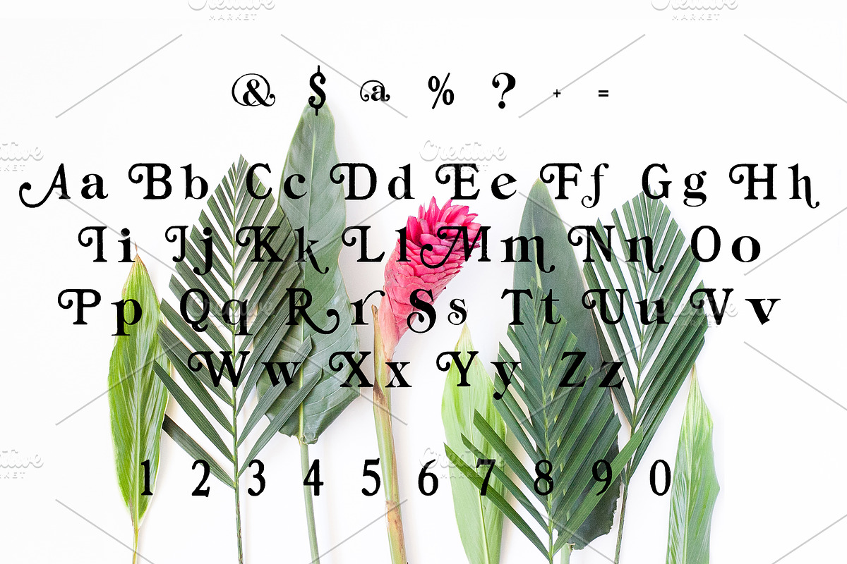 GILBERT Hand Crafted Font preview 3