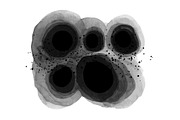Vector ink wash painting, part 2, a Texture Graphic by Elina_Li (Thumbnail 3 of 13)