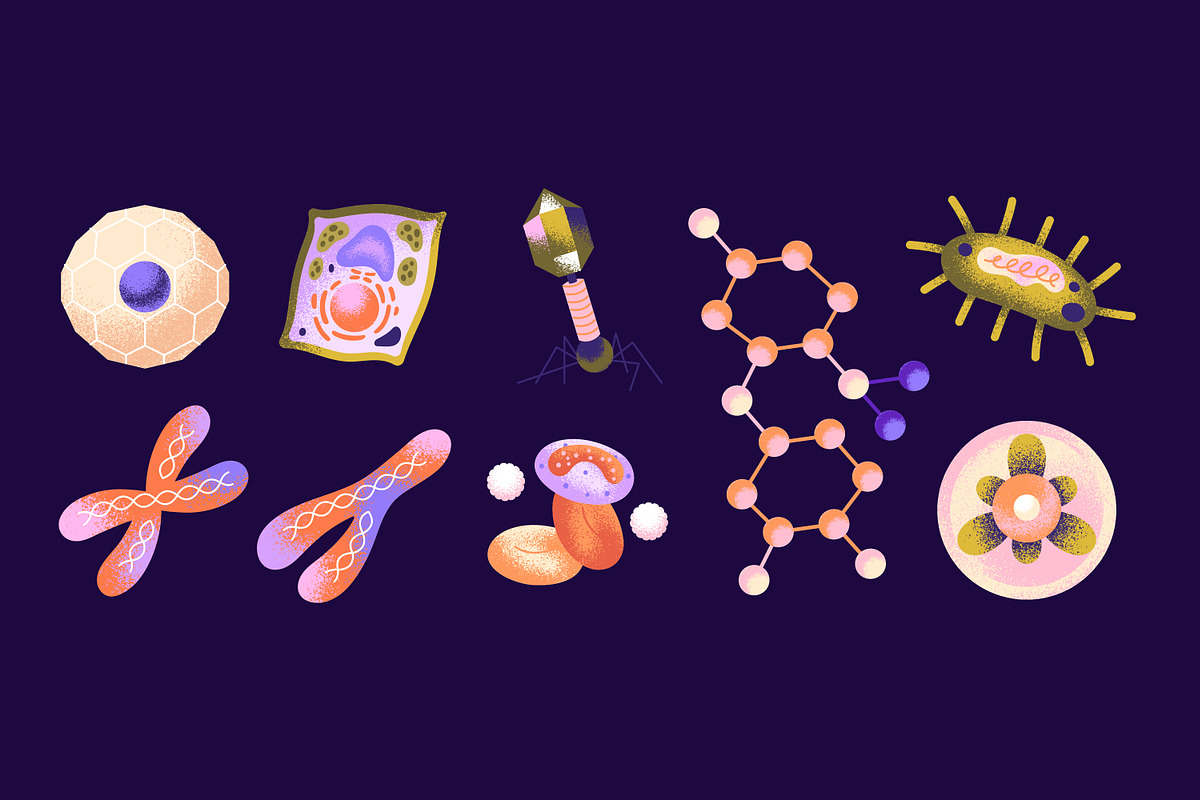 Scientific elements icons set, a Healthcare Illustration by PaperTrident (Photo 2 of 4)
