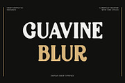 Guavine Blur, a Serif Font by Craft Supply Co. (Thumbnail 1 of 8)