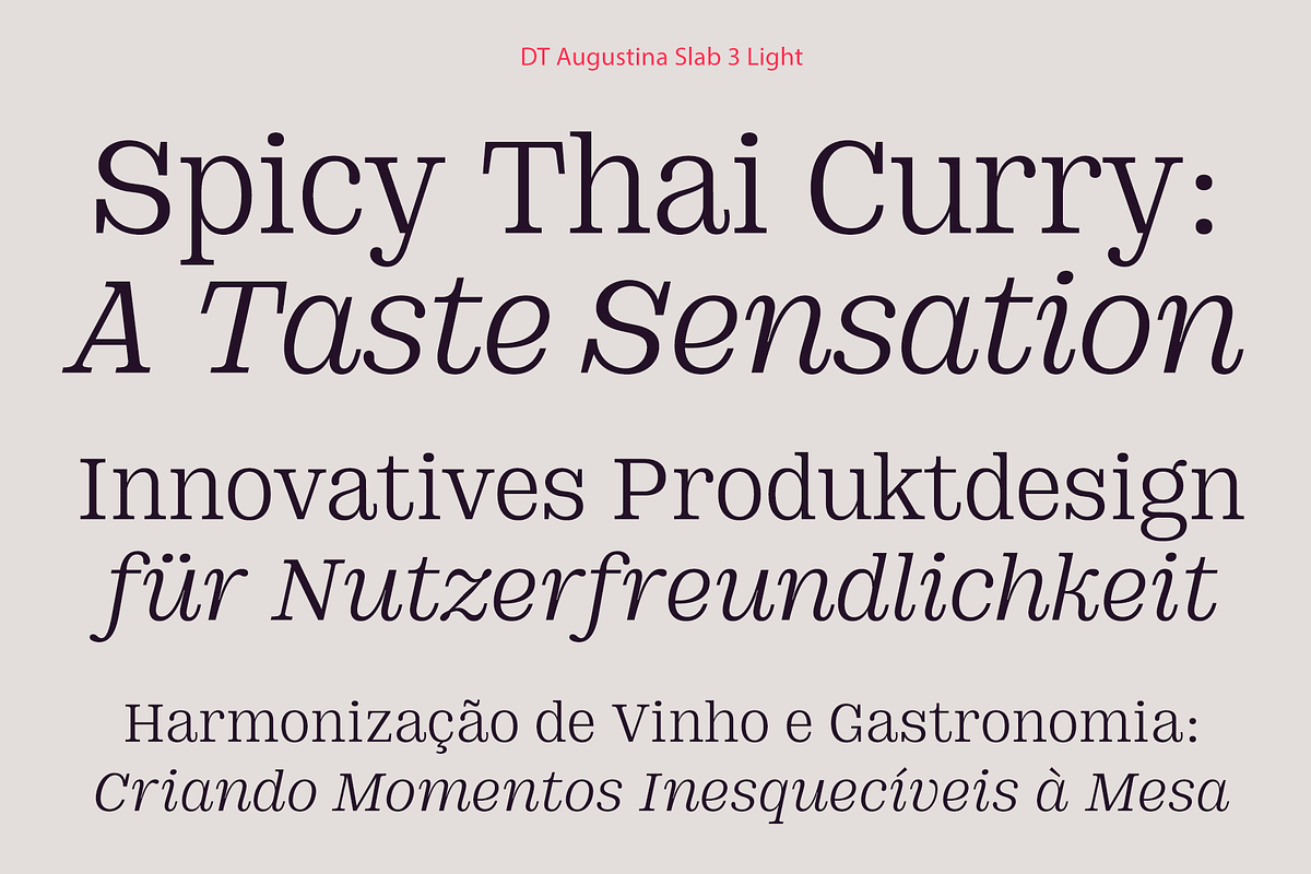 DT Augustina Slab 3 Subfamily, a Slab Serif Font by Deveze Type Foundry (Photo 5 of 31)
