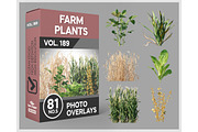 81 Farm Plants Photo Overlays, a Nature Photo by KenScape (Thumbnail 1 of 3)