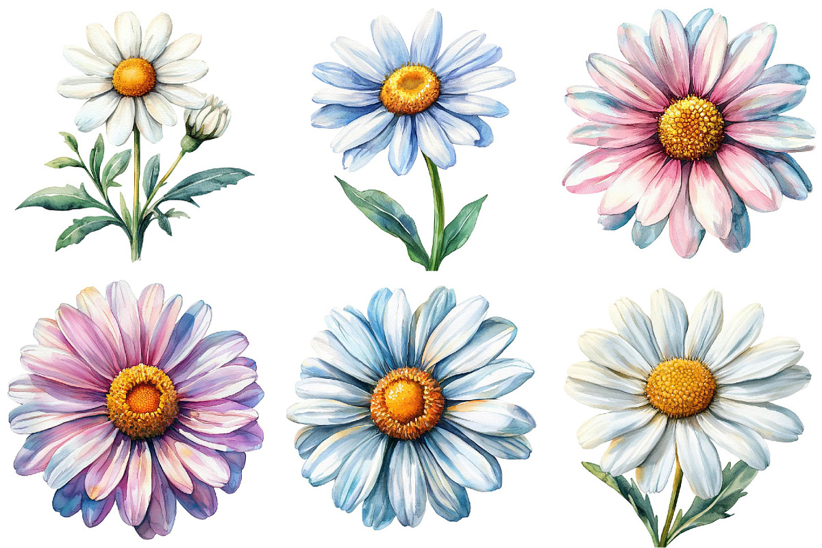 Watercolor Spring Daisy Flower Clipa, an Illustration by DreamPrint404 (Photo 5 of 7)