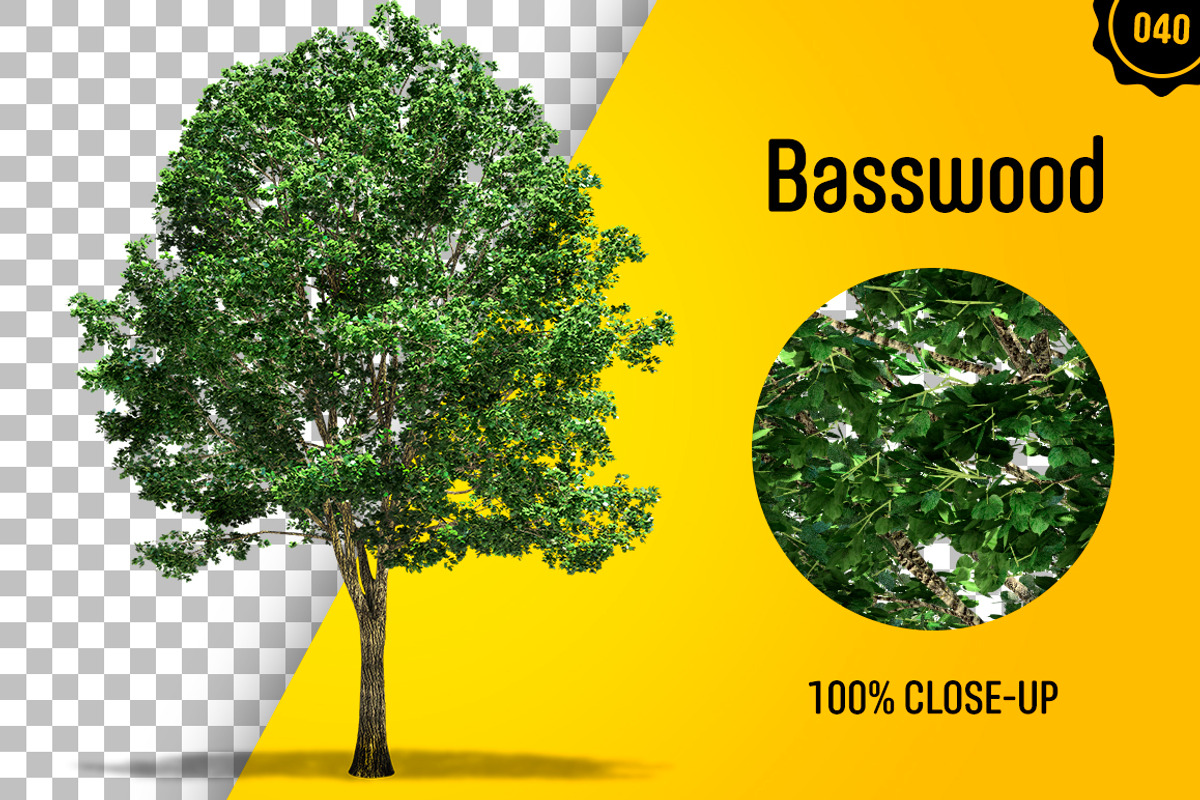 CUT OUT TREES - 60 PCS BUNDLE, a Packaging Mockup by 3DSTORE (Photo 41 of 63)