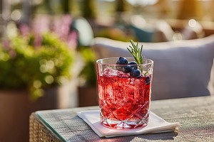 Refreshing cocktail with blueberries and rosemary, a Food & Drink Photo by AlyaAnd
