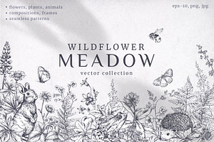 Wildflower Meadow Vector Set