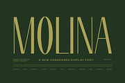 Molina Modern Sans Serif Font, a Serif Font by Graphicxell (Thumbnail 1 of 8)