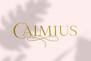 Calmius Extra Light, a Serif Font by NREY (Thumbnail 2 of 11)