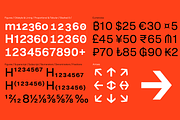 RNS Physis Family, a Sans Serif Font by RNS Fonts (Thumbnail 15 of 15)