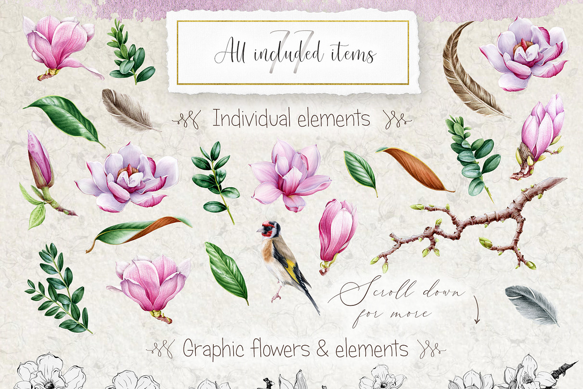 Pink Magnolia Watercolor Collection, a Decorative Illustration by AnitaPol (Photo 13 of 14)