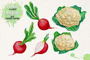 Watercolor Vegetables, Herbs, an Animal Illustration by Graphobia (Thumbnail 6 of 12)