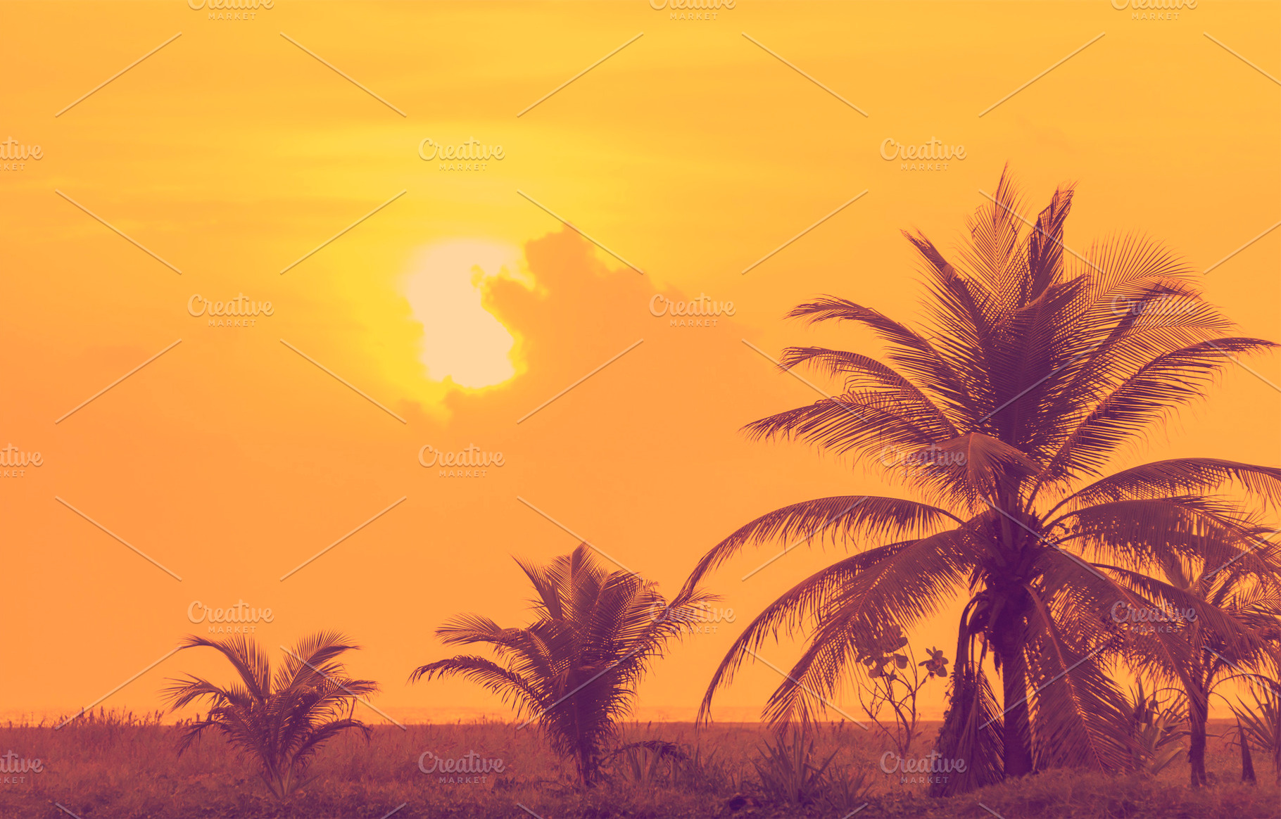 Vintage Sunset Mexico, a Nature Photo by THP Creative