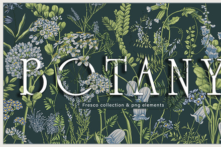 Botanical Fresco & Graphics, a Wallpaper Graphic by Natalia0307
