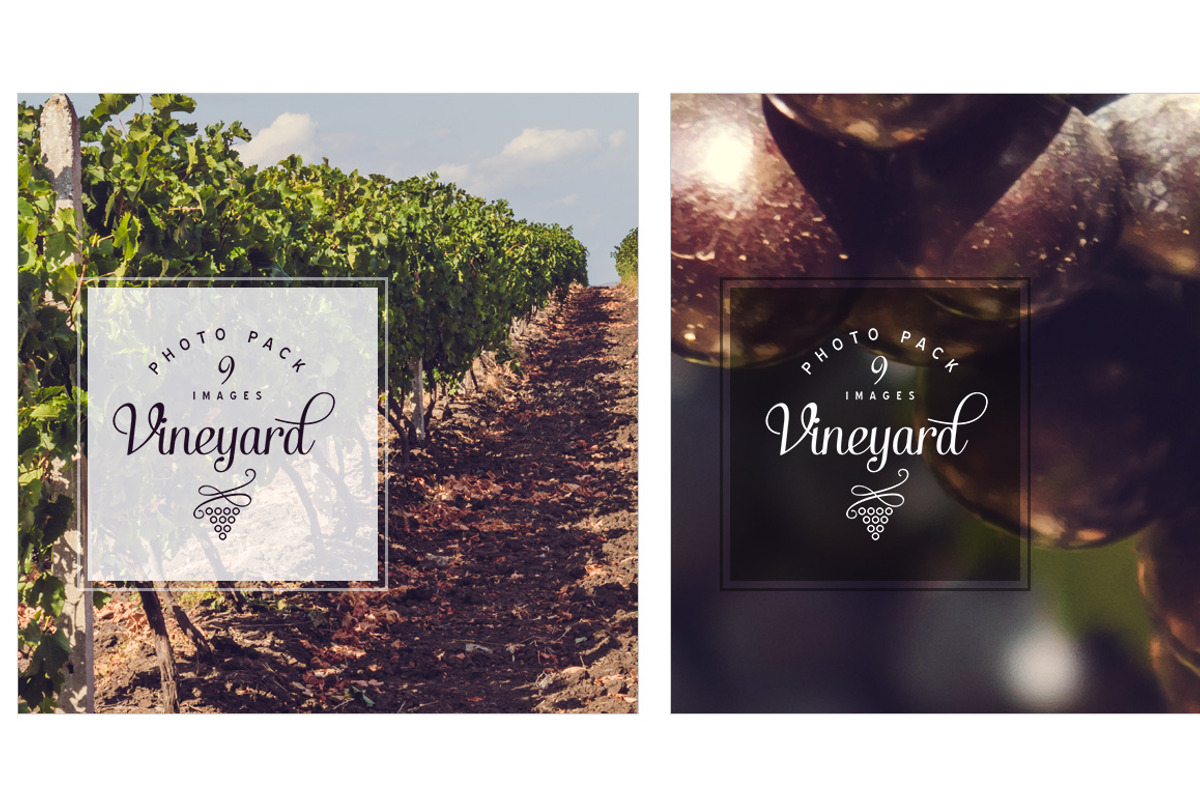 Vineyard photo pack, a Nature Photo by outlinez (Photo 3 of 3)