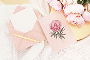 12 Watercolor Peonies PNG, a Decorative Illustration by Kotkoa (Thumbnail 9 of 11)