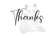 Panda | Script Font, a Handwritten Font by Scratchones (Thumbnail 9 of 9)
