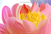 Swan Romance — Seamless Pattern, a Pattern Graphic by Designnina Shop (Thumbnail 11 of 13)