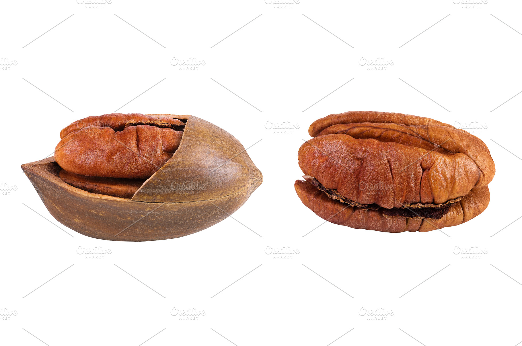 broken pecan nut isolated on white, a Food & Drink Photo by NataPhoto