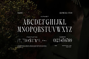 Magistr - Serif Font, a Serif Font by Graphicxell (Thumbnail 8 of 8)