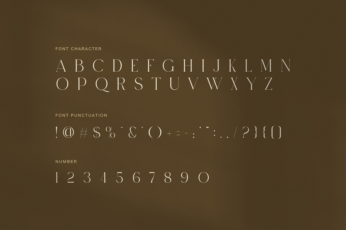 Navara Elegant Ligature Serif Font, a Serif Font by Graphicxell (Photo 7 of 8)
