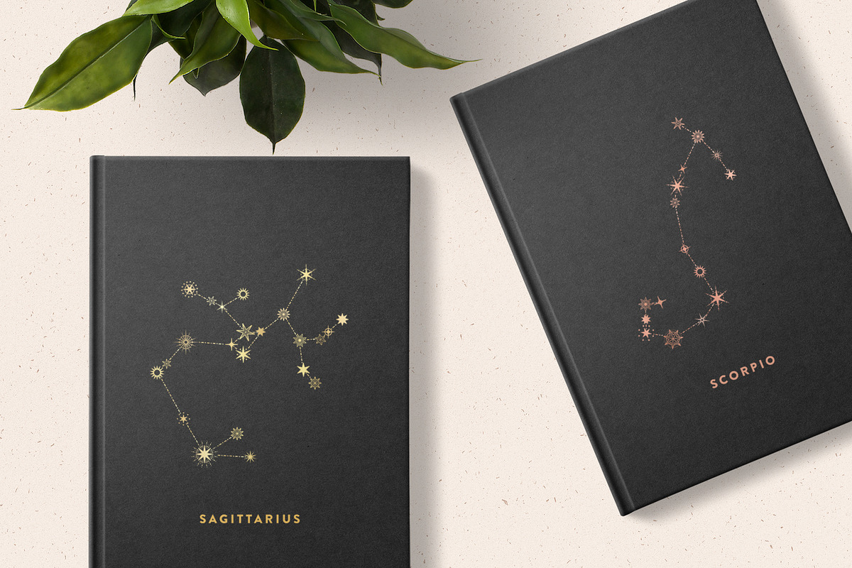 Zodiac Collection, an Illustration by Megs Lang (Photo 2 of 10)