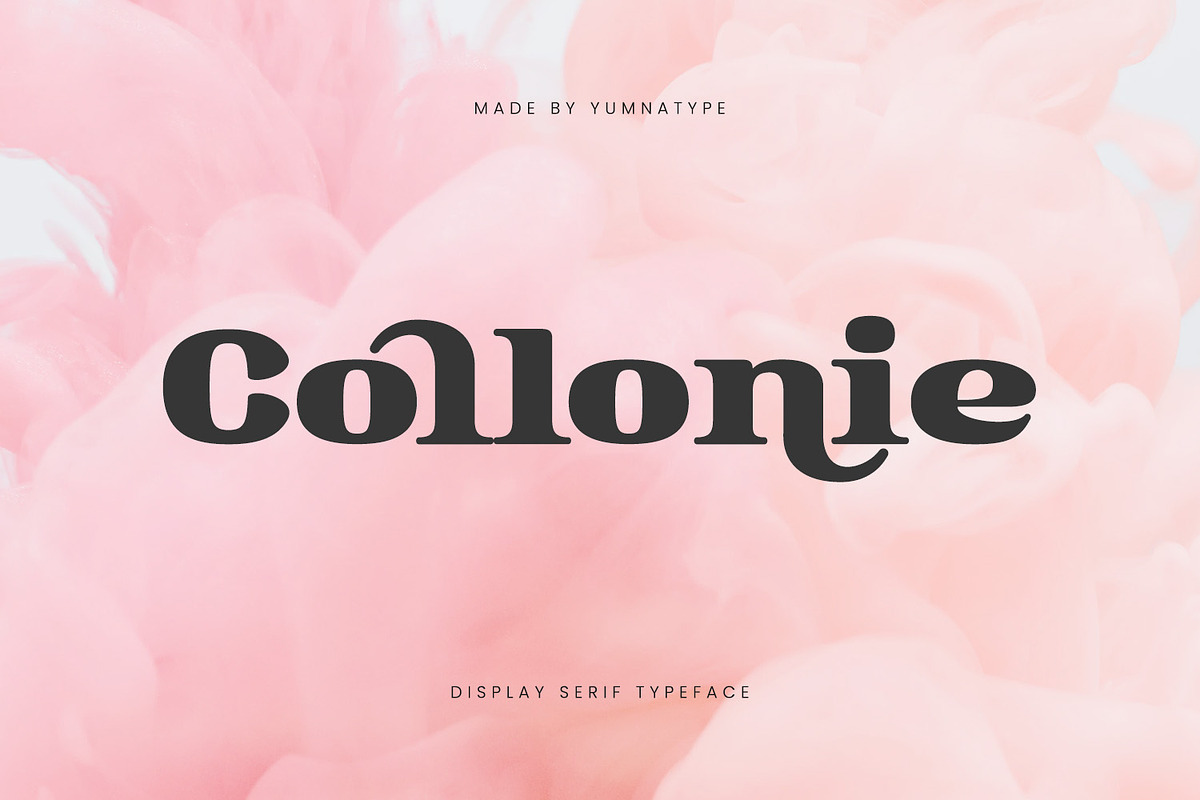 Collonie, a Serif Font by yumnatype (Photo 1 of 10)