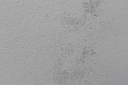 Mold Wall Texture Pack, a Texture Graphic by The_DrX (Thumbnail 8 of 13)