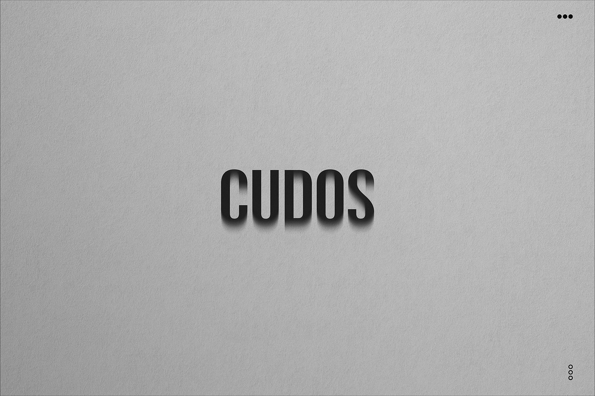 BURNS | 60+ Real Analog Film Burns, a Brushes & More by CUDOS (Photo 16 of 16)