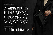 Neilora - Elegant Stencil Serif Font, a Serif Font by Flawless And Co (Thumbnail 9 of 10)