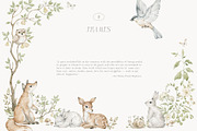 Woodland Animals Watercolor Forest, an Animal Illustration by Kreker Kate (Thumbnail 7 of 12)