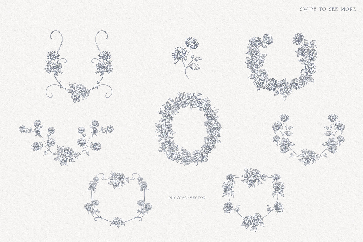 Hydrangea line art flowers, an Object Illustration by Sensual Art (Photo 2 of 9)