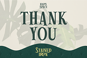 Stained Iron Playful Serif, a Serif Font by Haps Space (Thumbnail 12 of 12)