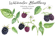 Watercolor Blackberry, a Food Illustration by cat_arch_angel (Thumbnail 2 of 3)
