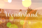 LiebeLotte Swell, a Script Font by LiebeFonts (Thumbnail 5 of 9)