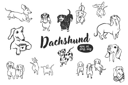 Dachshund illustrations, an Illustration by Anastasiya Klempach